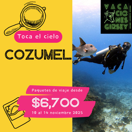 Excursión a Cozumel - 5 días y 4 noches